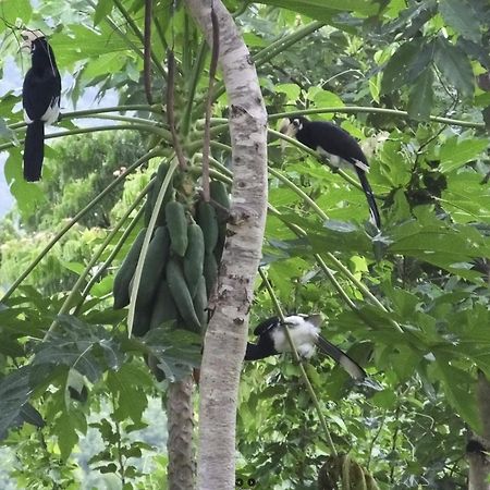 บ้านอิงเมยแคมป์ แก่งกระจาน Ban Phu Bon المظهر الخارجي الصورة